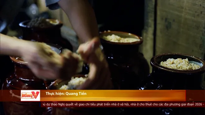 Quảng Ngãi bố trí gần 305 tỷ đồng thực hiện Chương trình mục tiêu quốc gia phát triển văn hóa- Ảnh 6. Quảng Ngãi bố trí gần 305 tỷ đồng thực hiện Chương trình mục tiêu quốc gia phát triển văn hóa- Ảnh 6.