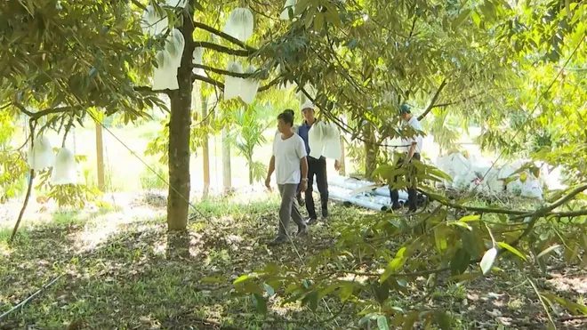 Đổi thay trên quê hương cụ Huỳnh Thúc Kháng- Ảnh 3. Đổi thay trên quê hương cụ Huỳnh Thúc Kháng- Ảnh 3.