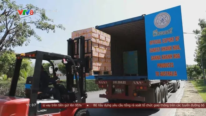 Kim ngạch xuất khẩu Yến sào Khánh Hòa vượt 1,3 triệu USD trong 9 tháng- Ảnh 3. Kim ngạch xuất khẩu Yến sào Khánh Hòa vượt 1,3 triệu USD trong 9 tháng- Ảnh 3.