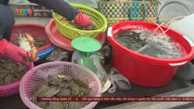 Du lịch đầm phá Huế mở hướng đi mới từ trải nghiệm sinh thái, cộng đồng- Ảnh 7. Du lịch đầm phá Huế mở hướng đi mới từ trải nghiệm sinh thái, cộng đồng- Ảnh 7.