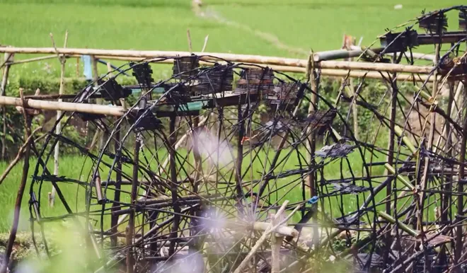 Sắc màu văn hóa dân tộc Mông: Khơi nguồn nội sinh, phát triển bền vững- Ảnh 2. Sắc màu văn hóa dân tộc Mông: Khơi nguồn nội sinh, phát triển bền vững- Ảnh 2.