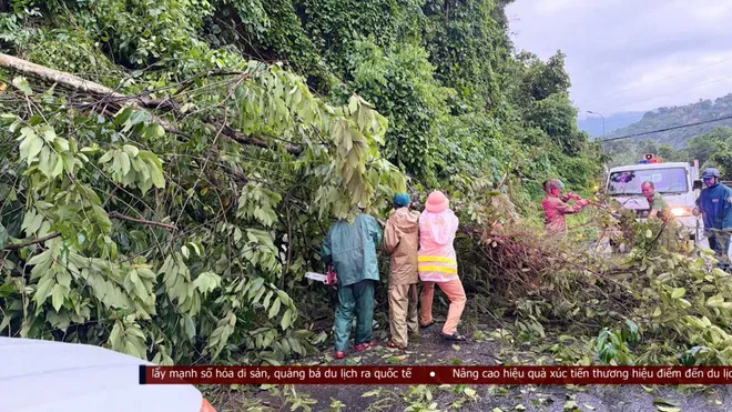 Lâm Đồng dồn sức khôi phục giao thông sau mưa lũ- Ảnh 8. Lâm Đồng dồn sức khôi phục giao thông sau mưa lũ- Ảnh 8.