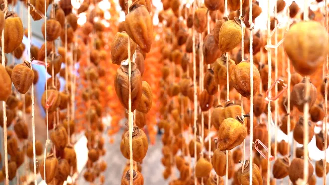Đà Lạt mùa hồng chín: Từ đặc sản truyền thống đến bước đột phá công nghệ- Ảnh 8. Đà Lạt mùa hồng chín: Từ đặc sản truyền thống đến bước đột phá công nghệ- Ảnh 8.