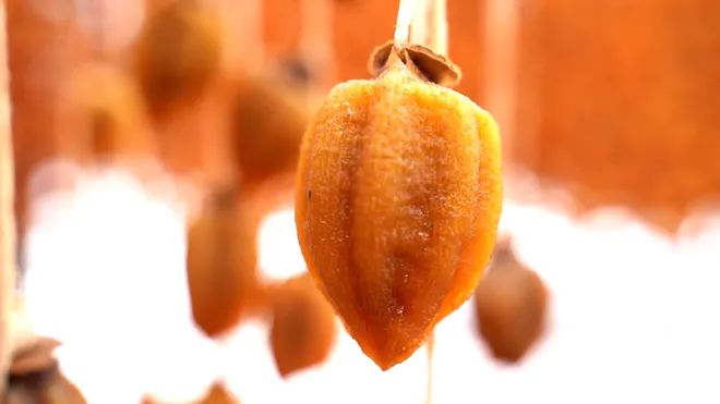 Đà Lạt mùa hồng chín: Từ đặc sản truyền thống đến bước đột phá công nghệ- Ảnh 9. Đà Lạt mùa hồng chín: Từ đặc sản truyền thống đến bước đột phá công nghệ- Ảnh 9.