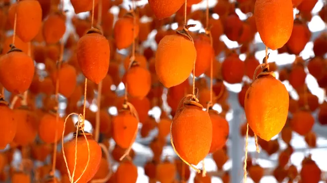 Đà Lạt mùa hồng chín: Từ đặc sản truyền thống đến bước đột phá công nghệ- Ảnh 6. Đà Lạt mùa hồng chín: Từ đặc sản truyền thống đến bước đột phá công nghệ- Ảnh 6.