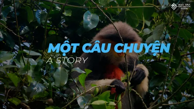 Lễ hội SIF 2026: Đòn bẩy chiến lược cho hệ sinh thái đổi mới sáng tạo Đà Nẵng- Ảnh 7. Lễ hội SIF 2026: Đòn bẩy chiến lược cho hệ sinh thái đổi mới sáng tạo Đà Nẵng- Ảnh 7.