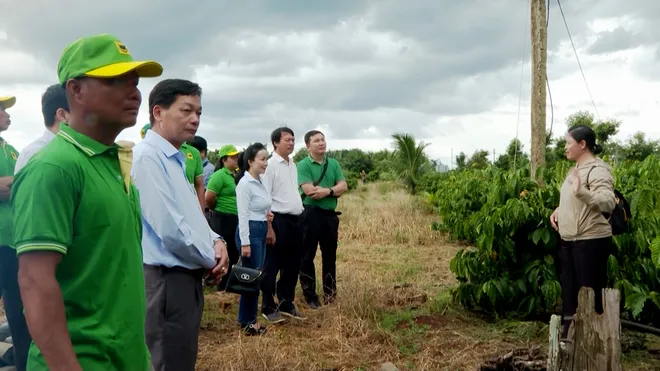 Đắk Lắk chuẩn bị Hội thi “Nhà nông đua tài” năm 2027- Ảnh 1. Đắk Lắk chuẩn bị Hội thi “Nhà nông đua tài” năm 2027- Ảnh 1.