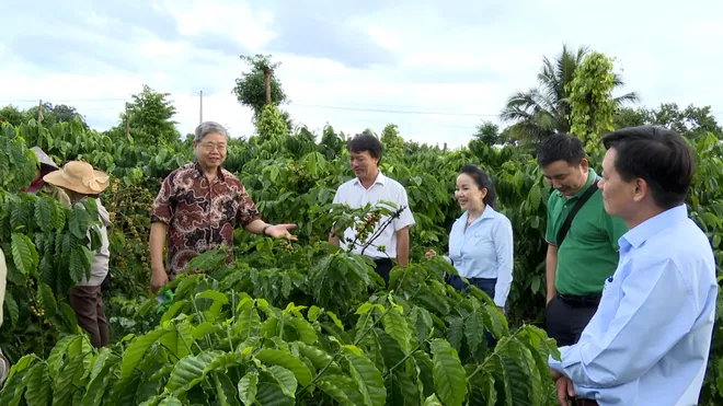 Đắk Lắk chuẩn bị Hội thi “Nhà nông đua tài” năm 2027- Ảnh 2. Đắk Lắk chuẩn bị Hội thi “Nhà nông đua tài” năm 2027- Ảnh 2.