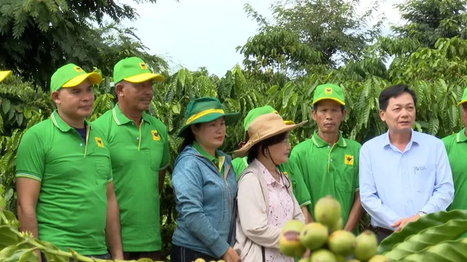Đắk Lắk chuẩn bị Hội thi “Nhà nông đua tài” năm 2027- Ảnh 3. Đắk Lắk chuẩn bị Hội thi “Nhà nông đua tài” năm 2027- Ảnh 3.