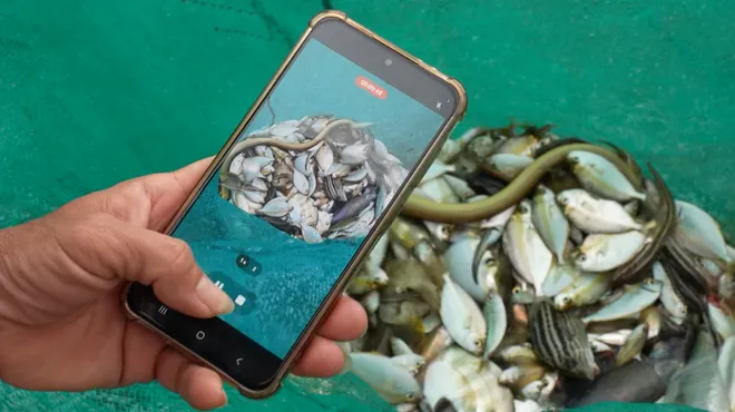 C&acirc;n bằng bảo tồn v&agrave; ph&aacute;t triển: Lời giải cho bản sắc đ&ocirc; thị biển Đ&agrave; Nẵng- Ảnh 5.