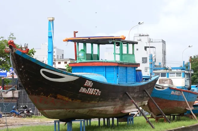 C&acirc;n bằng bảo tồn v&agrave; ph&aacute;t triển: Lời giải cho bản sắc đ&ocirc; thị biển Đ&agrave; Nẵng- Ảnh 3.
