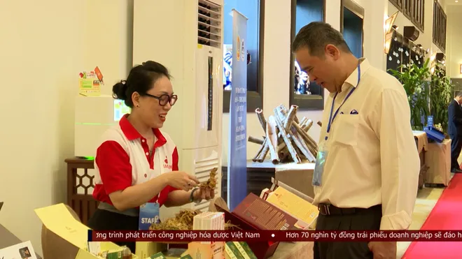 Đưa c&acirc;y s&acirc;m Ngọc Linh đến gần hơn thị trường quốc tế- Ảnh 5.