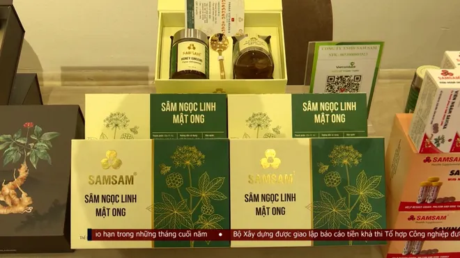 Đưa c&acirc;y s&acirc;m Ngọc Linh đến gần hơn thị trường quốc tế- Ảnh 7.