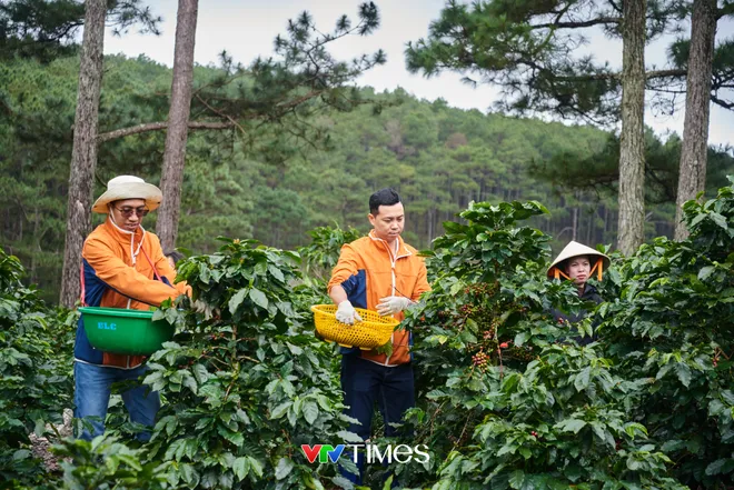 Doanh nghiệp Việt trước vận hội tăng trưởng mới - Ảnh 4.