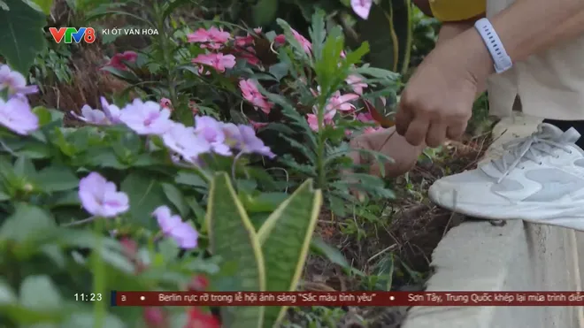 Festival Hoa Đà Lạt mở rộng không gian kết nối trên toàn Lâm Đồng- Ảnh 5. Festival Hoa Đà Lạt mở rộng không gian kết nối trên toàn Lâm Đồng- Ảnh 5.