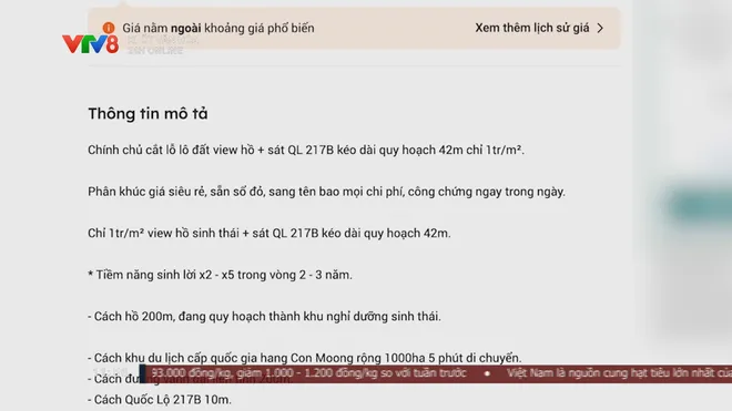 Cảnh gi&aacute;c quảng c&aacute;o bất động sản nghỉ dưỡng sinh th&aacute;i kh&ocirc;ng đ&uacute;ng sự thật- Ảnh 2.