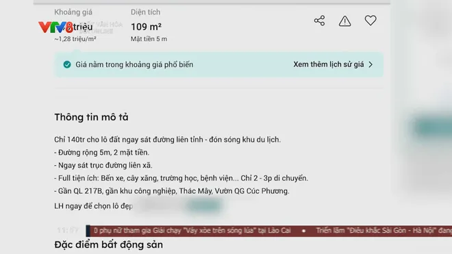 Cảnh gi&aacute;c quảng c&aacute;o bất động sản nghỉ dưỡng sinh th&aacute;i kh&ocirc;ng đ&uacute;ng sự thật- Ảnh 8.