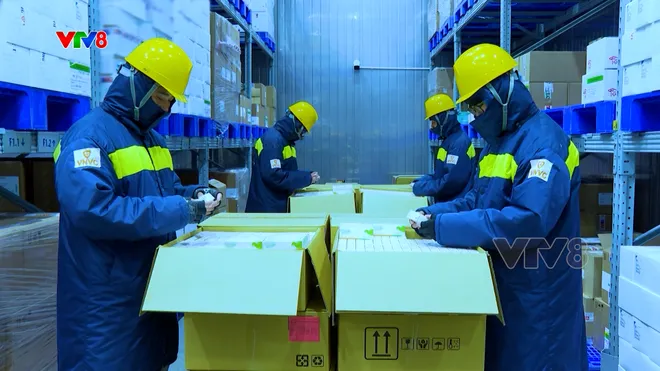 Hơn 100.000 trẻ em Việt Nam đã tiêm vắc xin tay chân miệng- Ảnh 5. Hơn 100.000 trẻ em Việt Nam đã tiêm vắc xin tay chân miệng- Ảnh 5.