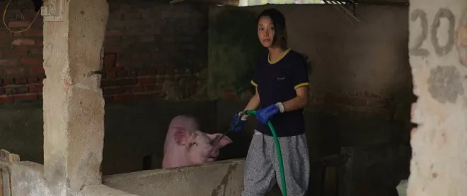 Căn nhà không mái che - Tập 4: Hạnh rơi sạch tiền, Toản tự ái vì nghĩ bị nghi ngờ- Ảnh 2. Căn nhà không mái che - Tập 4: Hạnh rơi sạch tiền, Toản tự ái vì nghĩ bị nghi ngờ- Ảnh 2.