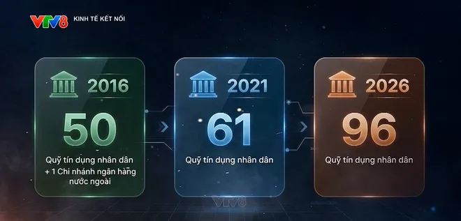 10 năm Bảo hiểm tiền gửi Việt Nam tại Đà Nẵng: Hành trình mở rộng quy mô và dấu ấn bảo vệ người gửi tiền- Ảnh 7. 10 năm Bảo hiểm tiền gửi Việt Nam tại Đà Nẵng: Hành trình mở rộng quy mô và dấu ấn bảo vệ người gửi tiền- Ảnh 7.