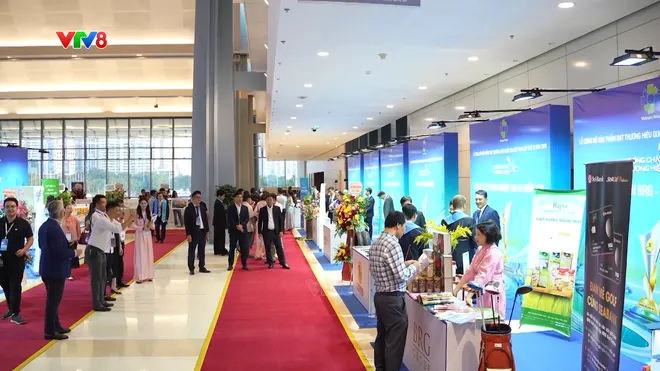 PVFCCo-Phú Mỹ lần thứ 7 liên tiếp đạt Thương hiệu quốc gia Việt Nam- Ảnh 5. PVFCCo-Phú Mỹ lần thứ 7 liên tiếp đạt Thương hiệu quốc gia Việt Nam- Ảnh 5.