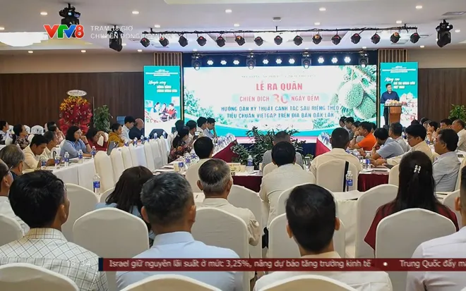 Đắk Lắk: Tổng lực hướng dẫn canh tác sầu riêng đạt chuẩn VietGAP- Ảnh 2. Đắk Lắk: Tổng lực hướng dẫn canh tác sầu riêng đạt chuẩn VietGAP- Ảnh 2.