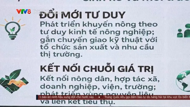 Đắk Lắk đẩy mạnh x&atilde; hội h&oacute;a khuyến n&ocirc;ng- Ảnh 5.