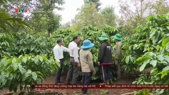 Đắk Lắk đẩy mạnh x&atilde; hội h&oacute;a khuyến n&ocirc;ng- Ảnh 8.