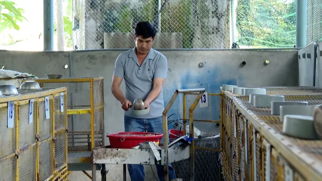 Dòng vốn tiếp sức người dân phát triển kinh tế- Ảnh 2. Dòng vốn tiếp sức người dân phát triển kinh tế- Ảnh 2.