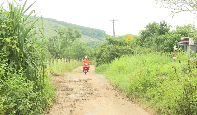 Điện lực Quảng Ng&atilde;i chủ động phương ch&acirc;m &ldquo;4 tại chỗ&rdquo; bảo đảm an to&agrave;n điện m&ugrave;a mưa b&atilde;o- Ảnh 1.