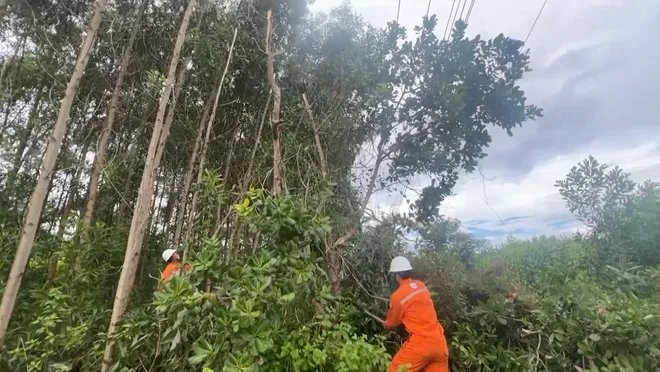 Điện lực Quảng Ng&atilde;i chủ động phương ch&acirc;m &ldquo;4 tại chỗ&rdquo; bảo đảm an to&agrave;n điện m&ugrave;a mưa b&atilde;o- Ảnh 5.