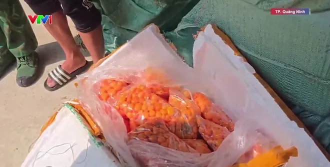 Bắt giữ hơn 6 tấn nầm lợn, trứng gà non không rõ nguồn gốc tại Quảng Ninh - Ảnh 1.