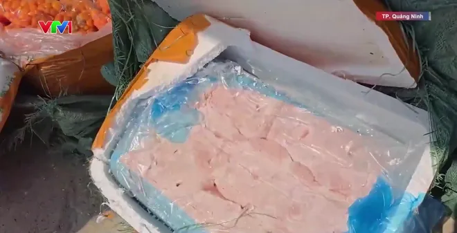Bắt giữ hơn 6 tấn nầm lợn, trứng gà non không rõ nguồn gốc tại Quảng Ninh - Ảnh 2.