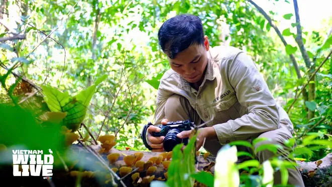 NSƯT Vũ Hoài Nam tiết lộ điểm mới của Vietnam Wild Live mùa 2 - Ảnh 4.