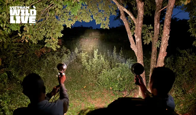 NSƯT Vũ Hoài Nam tiết lộ điểm mới của Vietnam Wild Live mùa 2 - Ảnh 5.
