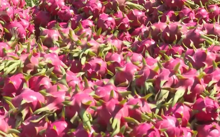 Trung Quốc chi gần 1,5 tỷ USD mua nông sản Việt đầu năm