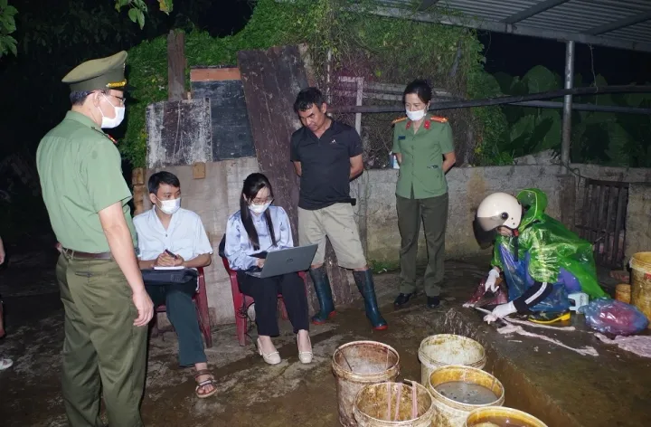 Phát hiện và tiêu huỷ gần 3 tấn thịt lợn nhiễm virus tại lò mổ “chui”