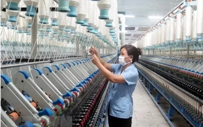 Những chính sách kinh tế mới nổi bật có hiệu lực từ 6/2025