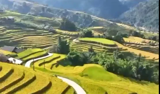 Du lịch nông nghiệp tạo đòn bẩy cho kinh tế nông thôn