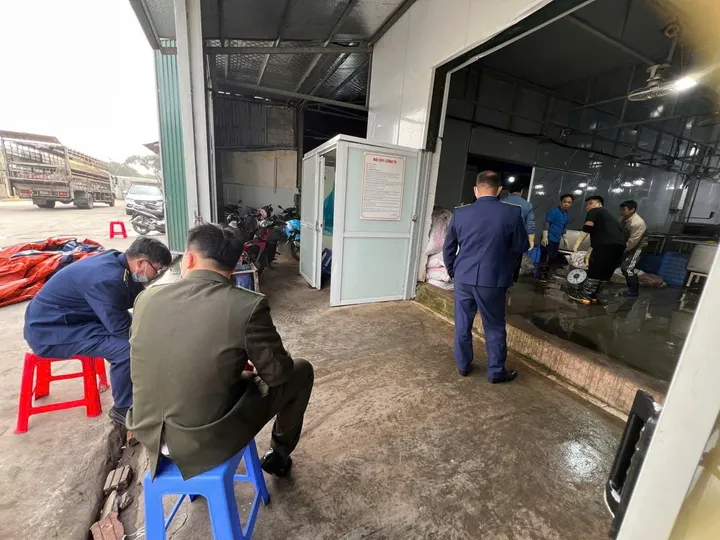 Phát hiện hơn 60 tấn nguyên liệu, thực phẩm không rõ nguồn gốc tại cơ sở chế biến lòng lợn ở Hà Nội