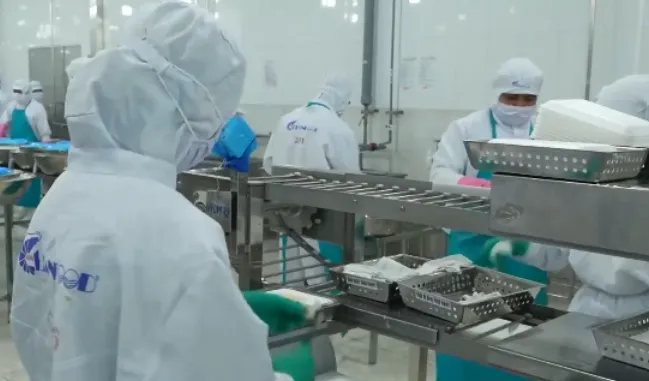 Xuất khẩu nông, lâm, thủy sản đạt gần 36 tỷ USD