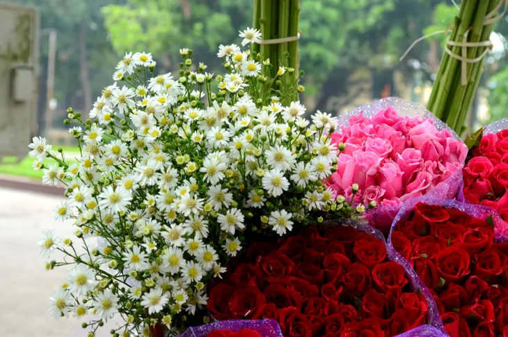 Cúc họa mi đầu mùa gõ cửa Hà Nội - Ảnh 4.