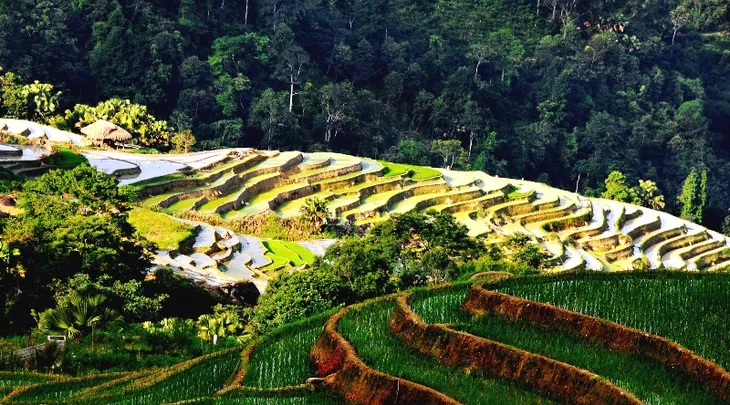 Ruộng bậc thang Việt Nam vào danh sách cảnh quan đẹp đến khó tin - Ảnh 8. Ruộng bậc thang Việt Nam vào danh sách cảnh quan đẹp đến khó tin - Ảnh 8.