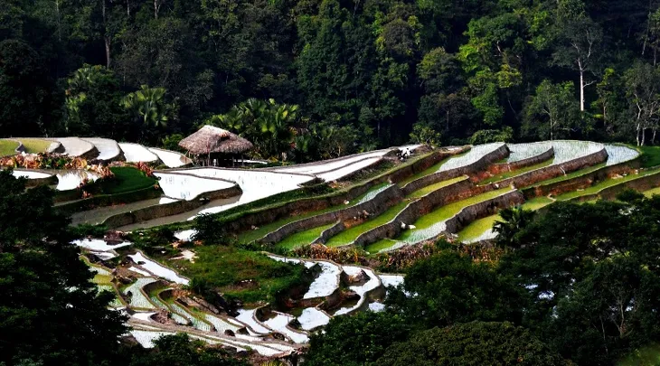Ruộng bậc thang Việt Nam vào danh sách cảnh quan đẹp đến khó tin - Ảnh 7. Ruộng bậc thang Việt Nam vào danh sách cảnh quan đẹp đến khó tin - Ảnh 7.
