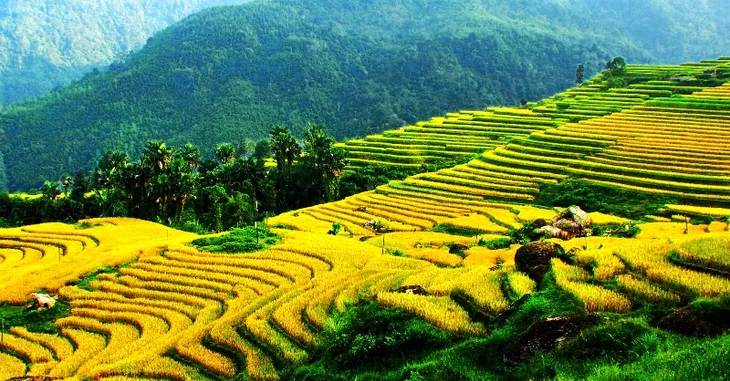 Ruộng bậc thang Việt Nam vào danh sách cảnh quan đẹp đến khó tin - Ảnh 5. Ruộng bậc thang Việt Nam vào danh sách cảnh quan đẹp đến khó tin - Ảnh 5.