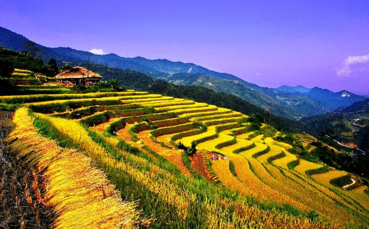 Ruộng bậc thang Việt Nam vào danh sách cảnh quan đẹp đến khó tin - Ảnh 4. Ruộng bậc thang Việt Nam vào danh sách cảnh quan đẹp đến khó tin - Ảnh 4.