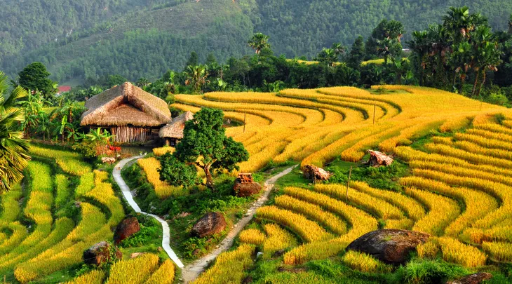 Ruộng bậc thang Việt Nam vào danh sách cảnh quan đẹp đến khó tin - Ảnh 2. Ruộng bậc thang Việt Nam vào danh sách cảnh quan đẹp đến khó tin - Ảnh 2.