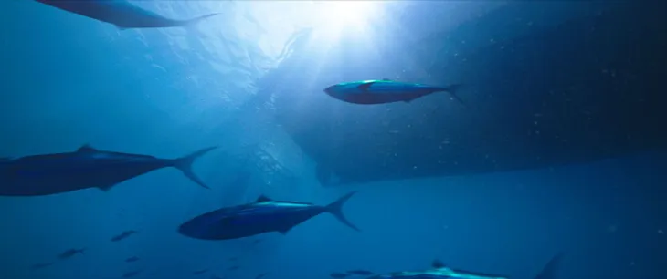 Nghẹt thở với trò chơi tử thần ngắm cá mập trong 47 Meters Down - Ảnh 4. Nghẹt thở với trò chơi tử thần ngắm cá mập trong 47 Meters Down - Ảnh 4.