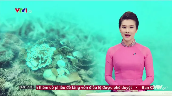 BTV Khánh Trang với những chiếc áo dài gây thương nhớ trong Bản tin 19h - Ảnh 4. BTV Khánh Trang với những chiếc áo dài gây thương nhớ trong Bản tin 19h - Ảnh 4.