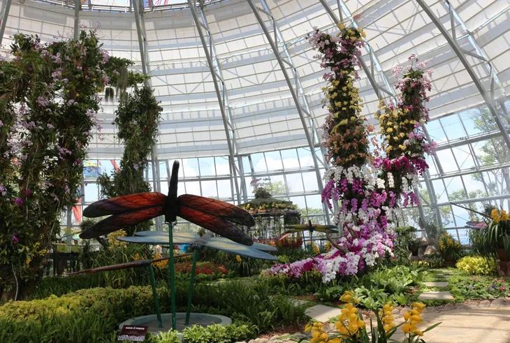 Vinpearl Land mở cửa công viên thực vật 5 châu độc đáo nhất Việt Nam - Ảnh 1. Vinpearl Land mở cửa công viên thực vật 5 châu độc đáo nhất Việt Nam - Ảnh 1.